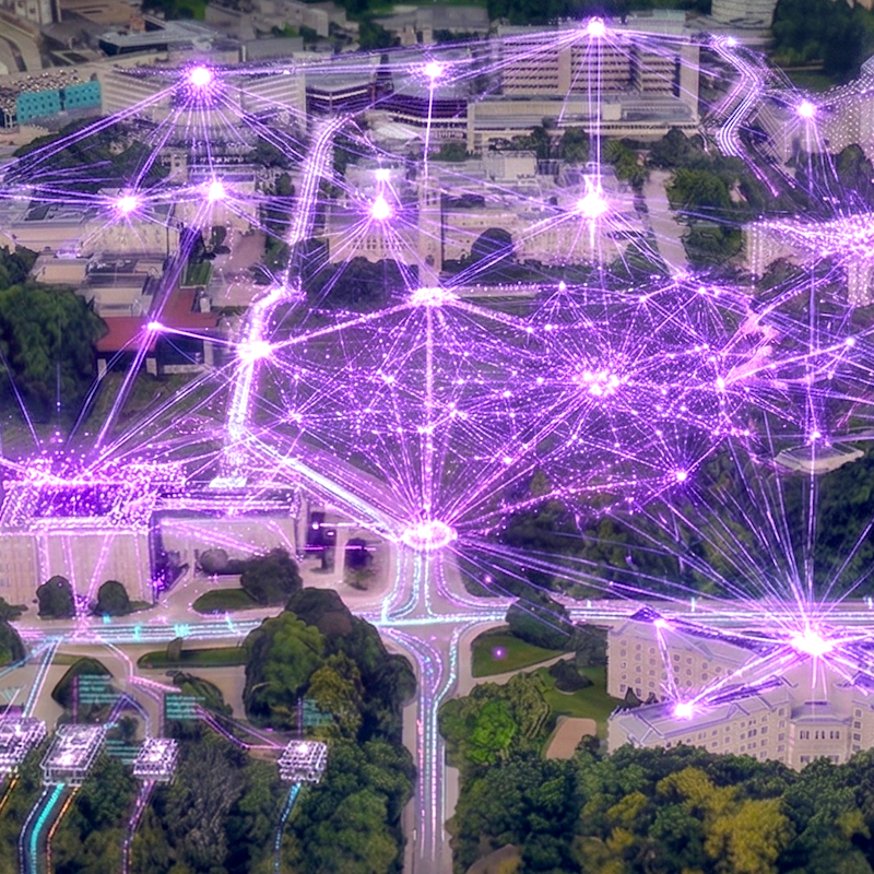 Western Campus lit up like a neural network.